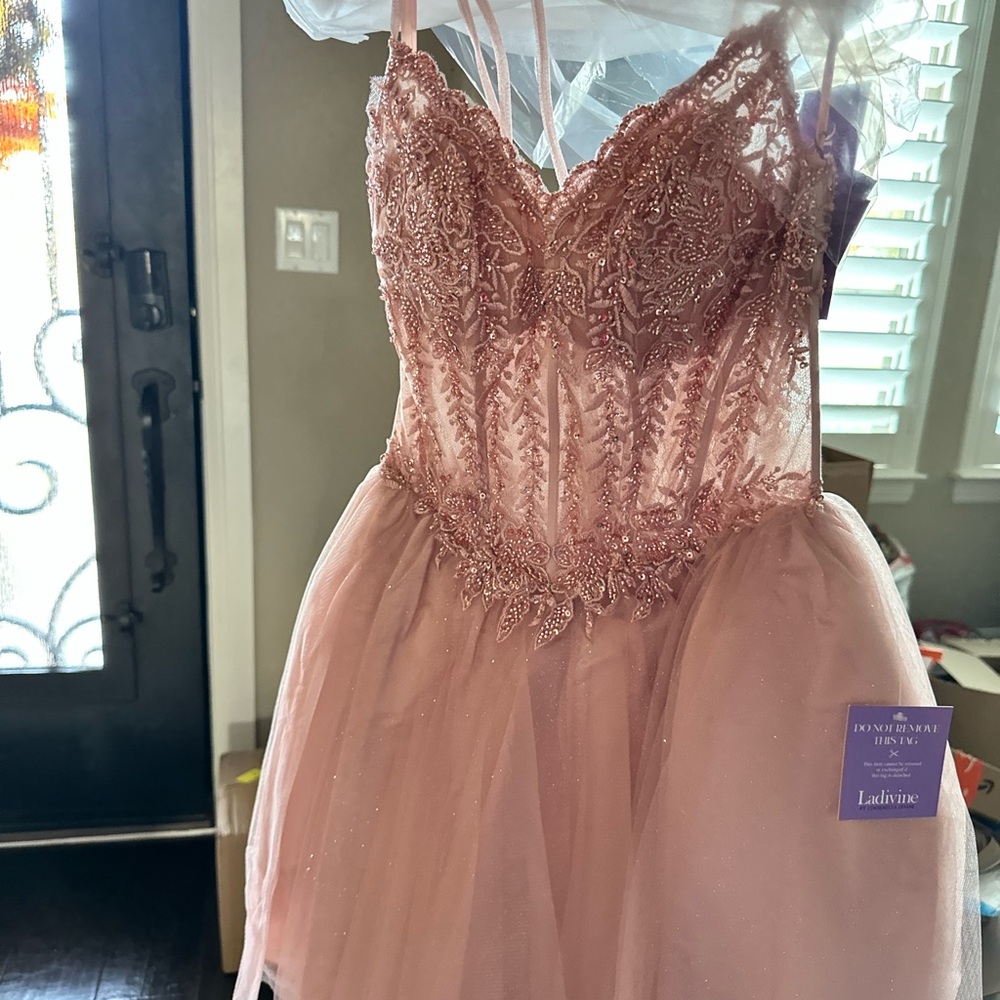 Ladivine Pink Lace Dress